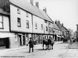 c.1925 Frontage with cows (Courtesy Norfolk C.C.)